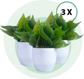 Kunstplant - Kamerplant - Nepplant - 3 Stuks - Voor Binnen - Met Pot - Binnenplant - Decoratie Plant - Groen