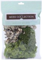 Mix van mossoorten - Rendiermos + korstmos + platmos +... - 5 soorten per pak - goed voor 30x30cm