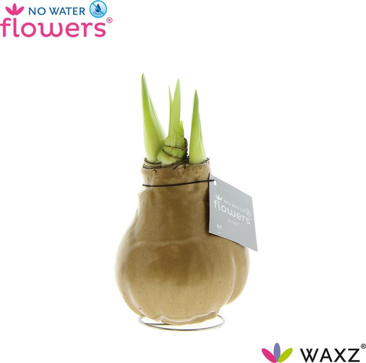 No Water Flowers® Waxz® Goud