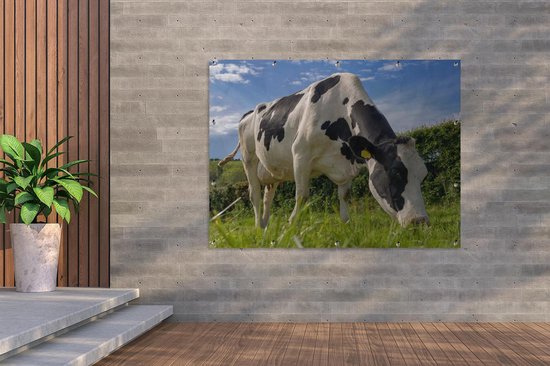Une vache frisonne broutant par une belle journée d'été Affiche de jardin 160x120 cm - Toile de jardin / Toile d'extérieur / Peintures d'extérieur (décoration de jardin) XXL / Groot format!