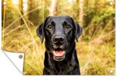 Muurdecoratie Gelukkige zwarte hond - 180x120 cm - Tuinposter - Tuindoek - Buitenposter