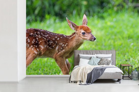 Papier peint photo peint vinyle - Jeune cerf traverse l'herbe largeur 450 cm x hauteur 300 cm - Tirage photo sur papier peint (disponible en 7 tailles)