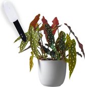 Humidimètre pour plantes | Compteur d'eau avec batterie pour plantes d'intérieur | Humidimètre pour terreau | Arrosage des Plantes | Mesurer l'arrosage des plantes d'intérieur