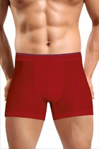 SPRUCE UP - heren boxershort