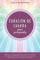 Curacion de Chakra para Principiantes