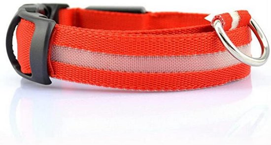 Lichtgevende Halsband Hond – LED Halsband – Maat M - 40/48 cm - Verlichting hond – Honden lampje - Hondenhalsband inclusief  batterijen - Honden verlichting - Rood