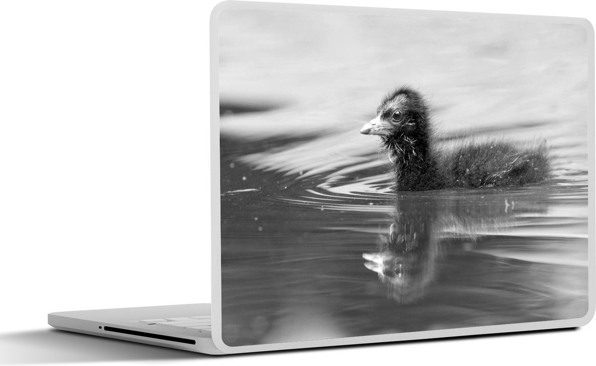 Afbeelding van product SleevesAndCases  Laptop sticker - 14 inch - Baby waterhoen zwemt in groen water - zwart wit