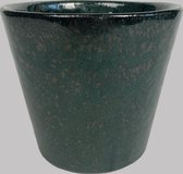 Hippeplantjes - Sierpot - Valencia - Donker Groen - 15x14 cm
