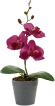 Ibergarden Kunstplant Orchidee 14 X 7 X 26 Cm Paars/grijs