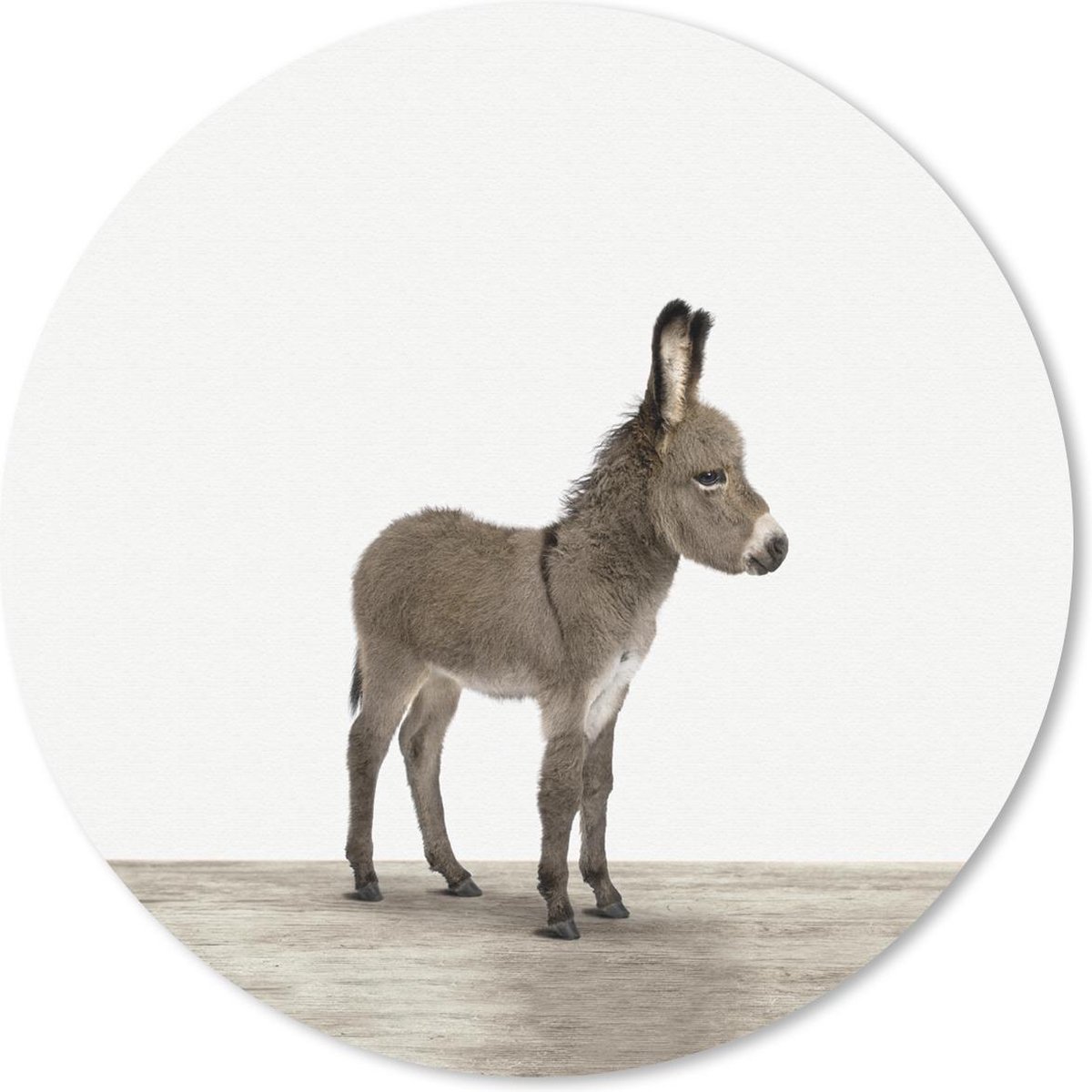 Muismat rond 50x50 cm - Mousepad Dieren - Ezel - Grijs - Ronde muismatten