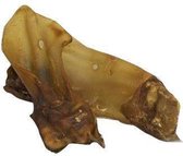 Carnis Buffeloren met schelp, 10 stuks