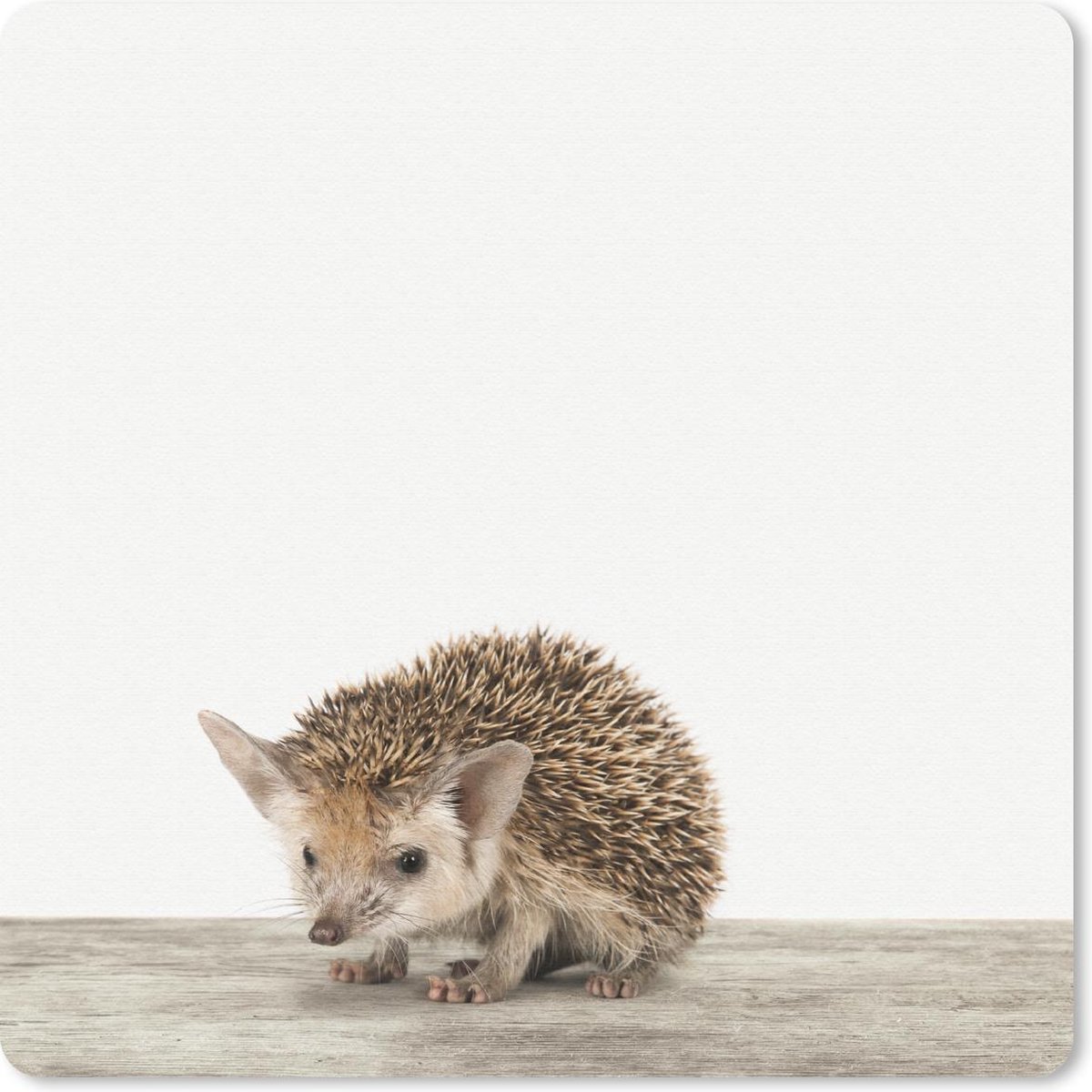 Muismat 30x30 cm - Mousepad Dieren - Egel - Baby - Muismatten