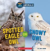 Spotted Eagle-Owl or Snowy Owl (Wild World)