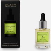 Cereria Mollà 1899 Essential Oil 30ml Eucalyptus & Mint Essentiële Olie voor aromaverdamper 100% natuurlijk munt ideaal voor geurwolkje diffuser