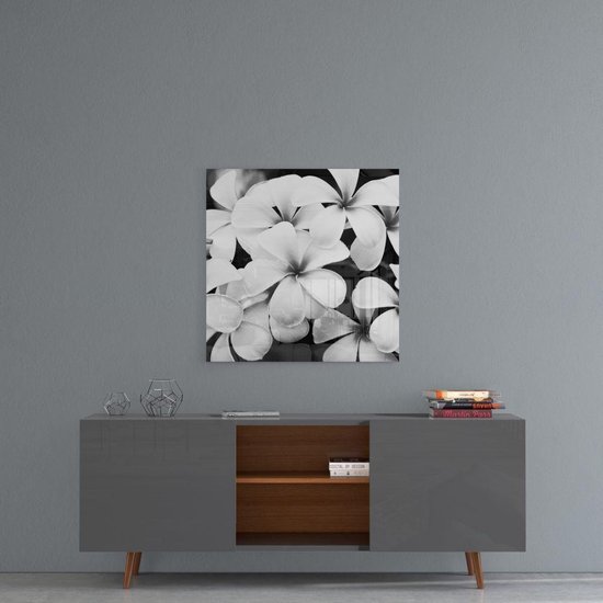 Insigne Glazen Schilderijen - Witte Bloemen Glasschilderij - 50×50 cm