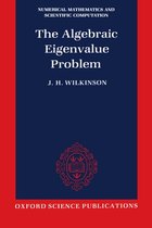 Algebraic Eigenvalue Problem