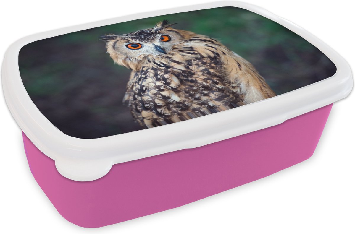 Broodtrommel Roze - Lunchbox - Brooddoos - Oehoe uil - 18x12x6 cm - Kinderen - Meisje