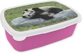 Broodtrommel Roze - Lunchbox - Brooddoos - Pandas - Gras - Steen - 18x12x6 cm - Kinderen - Meisje