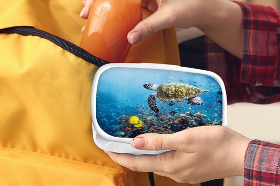 Boîte à pain Wit - Lunch box - Lunch box - Tortue au récif de corail - 18x12x6 cm - Adultes
