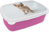 Broodtrommel Roze - Lunchbox Kat - Rood - Kitten - Meisjes - Kinderen - Jongens - Kindje - Brooddoos 18x12x6 cm - Brood lunch box - Broodtrommels voor kinderen en volwassenen