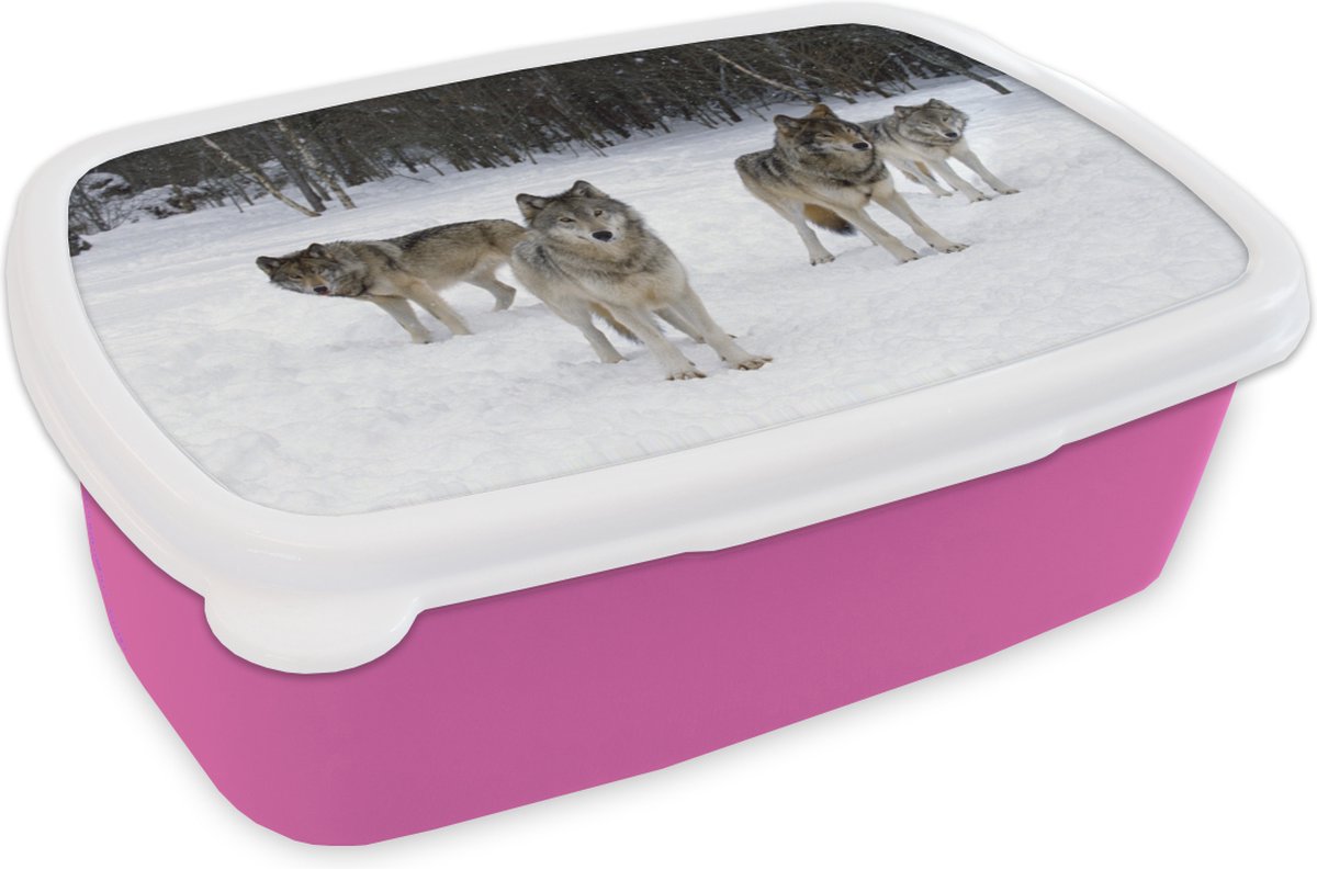 Broodtrommel Roze - Lunchbox - Brooddoos - Wolf - Sneeuw - Canada - 18x12x6 cm - Kinderen - Meisje