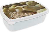 Broodtrommel Wit - Lunchbox - Brooddoos - Baby kuikentjes in het zaagsel - 18x12x6 cm - Volwassenen