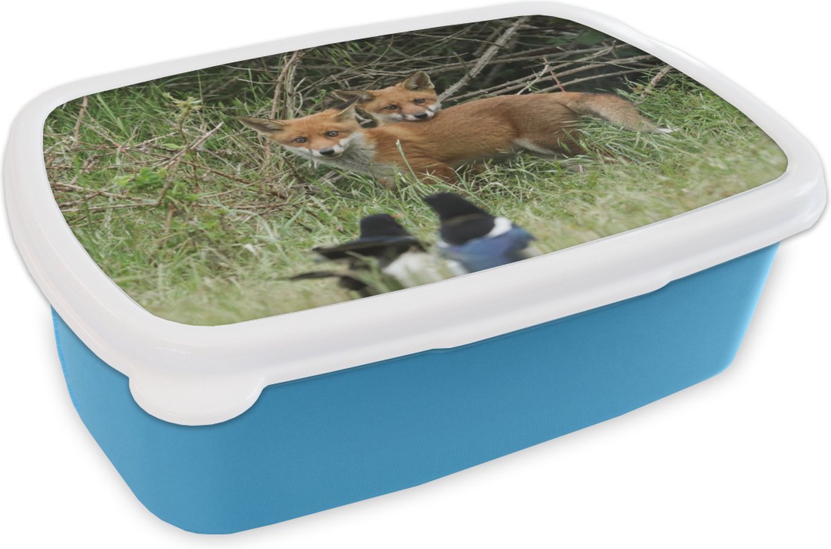 Broodtrommel Blauw - Lunchbox - Brooddoos - Dieren - Vogel - Vossen - 18x12x6 cm - Kinderen - Jongen