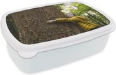 Broodtrommel Wit - Lunchbox - Brooddoos - Kind - Boom - Bos - 18x12x6 cm - Volwassenen