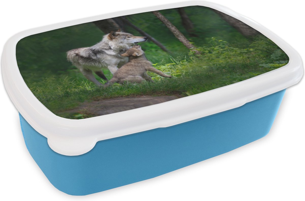 Broodtrommel Blauw - Lunchbox - Brooddoos - Wolf - Baby - Bos - 18x12x6 cm - Kinderen - Jongen