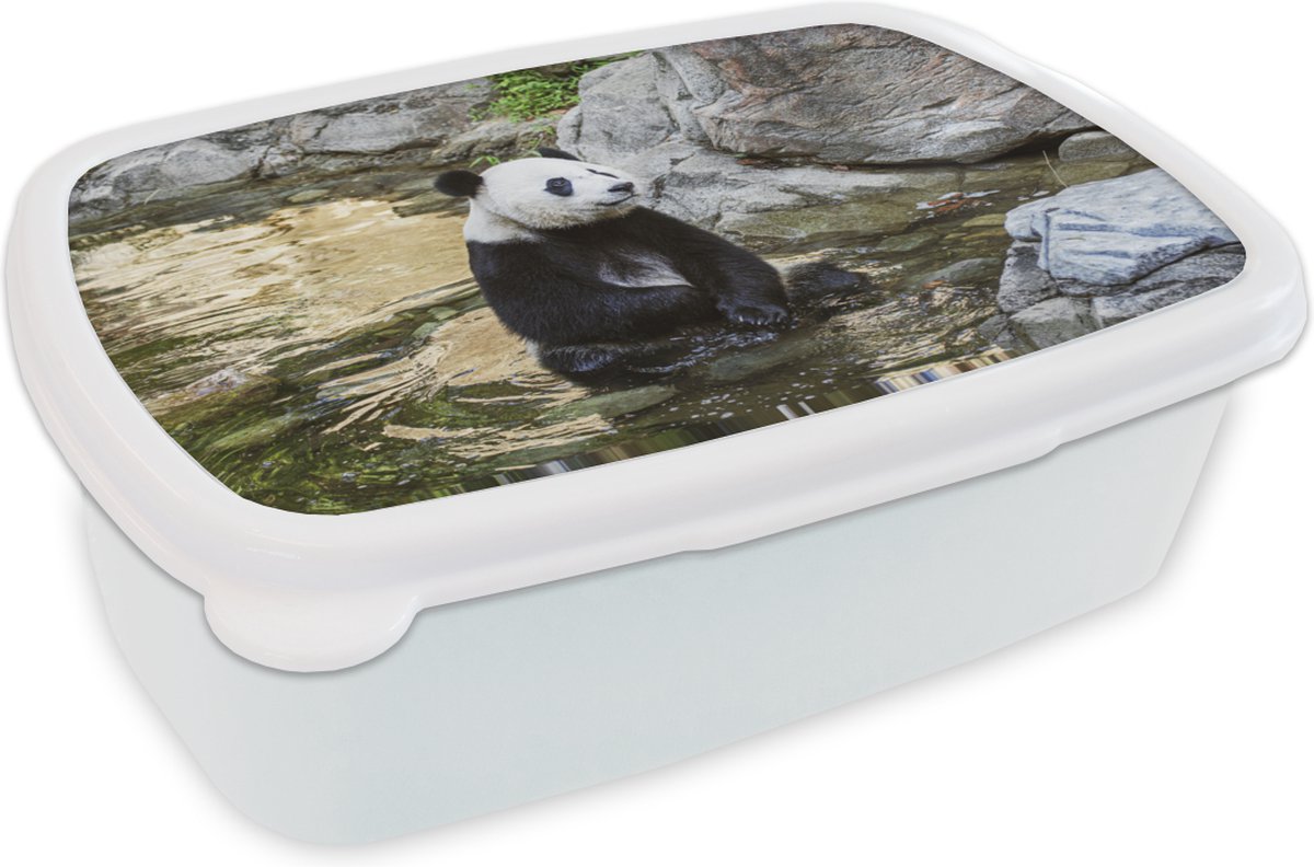 Broodtrommel Wit - Lunchbox - Brooddoos - Panda - Rivier - Steen - 18x12x6 cm - Volwassenen