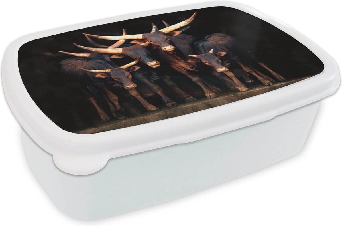 Broodtrommel Wit - Lunchbox - Brooddoos - Koe - Watussie - Stier - Zwart - 18x12x6 cm - Volwassenen
