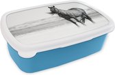Broodtrommel Blauw - Lunchbox - Brooddoos - Wild paard in de duinen - 18x12x6 cm - Kinderen - Jongen