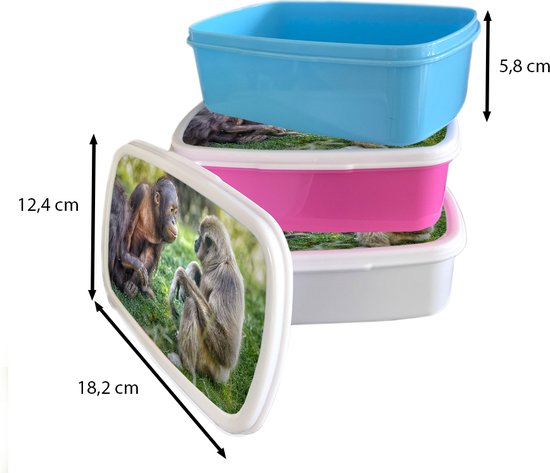 Boîte à lunch Blauw - Boîte à lunch - Boîte à lunch - Singe - Herbe - Animaux - 18x12x6 cm - Enfants - Garçon - Cadeau Sinterklaas - Distribution de cadeaux pour enfants - Cadeaux chaussures Sinterklaas