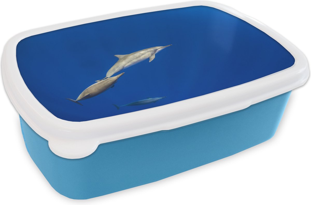 Broodtrommel Blauw - Lunchbox - Brooddoos - Dolfijn - Dier - Zee - 18x12x6 cm - Kinderen - Jongen