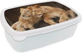 Broodtrommel Wit - Lunchbox - Brooddoos - Leeuwen - Bruin - Dieren - 18x12x6 cm - Volwassenen