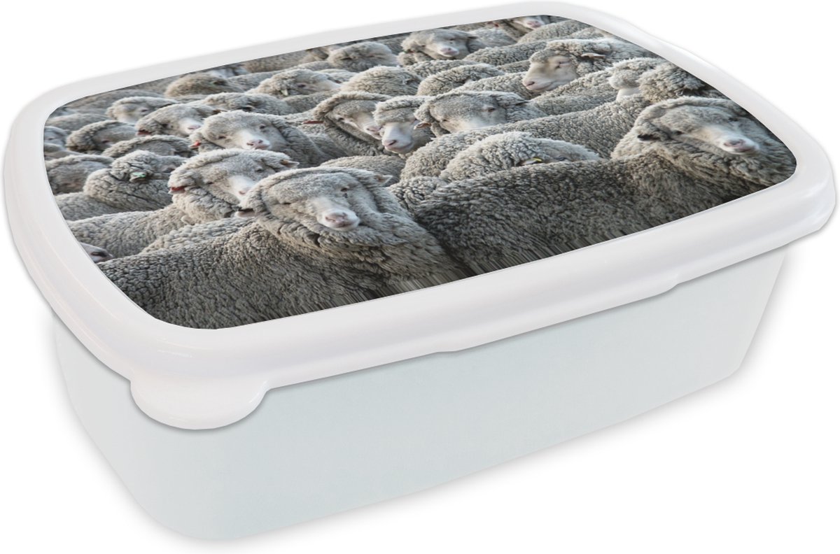 Broodtrommel Wit - Lunchbox - Brooddoos - Dieren - Schaap - Schapenvacht - 18x12x6 cm - Volwassenen