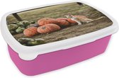 Broodtrommel Roze - Lunchbox - Brooddoos - Kat - Modder - Pompoen - 18x12x6 cm - Kinderen - Meisje