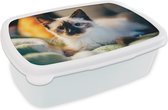 Broodtrommel Wit - Lunchbox - Brooddoos - Kat - Vacht - Zwart - 18x12x6 cm - Volwassenen