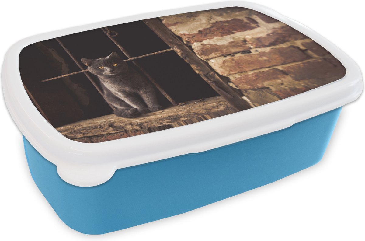 Broodtrommel Blauw - Lunchbox - Brooddoos - Kat - Bakstenen - Muur - 18x12x6 cm - Kinderen - Jongen