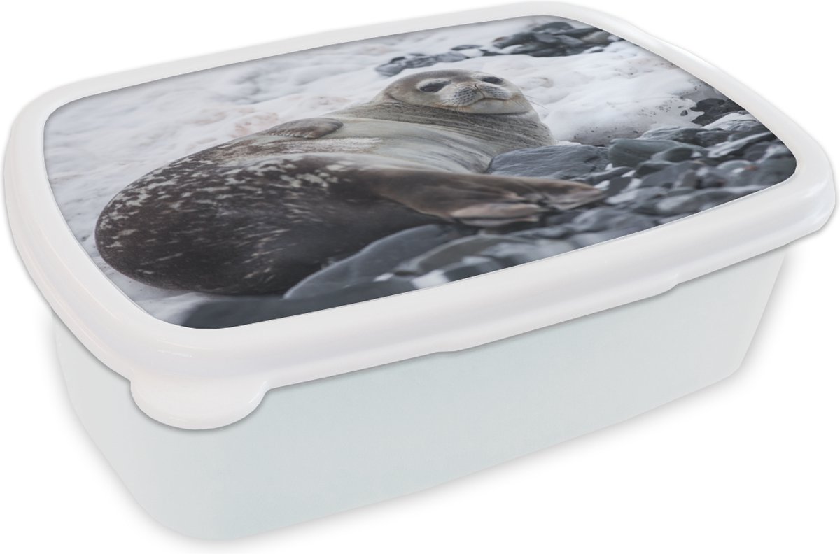 Broodtrommel Wit - Lunchbox - Brooddoos - Zeehond - Sneeuw - Strand - 18x12x6 cm - Volwassenen