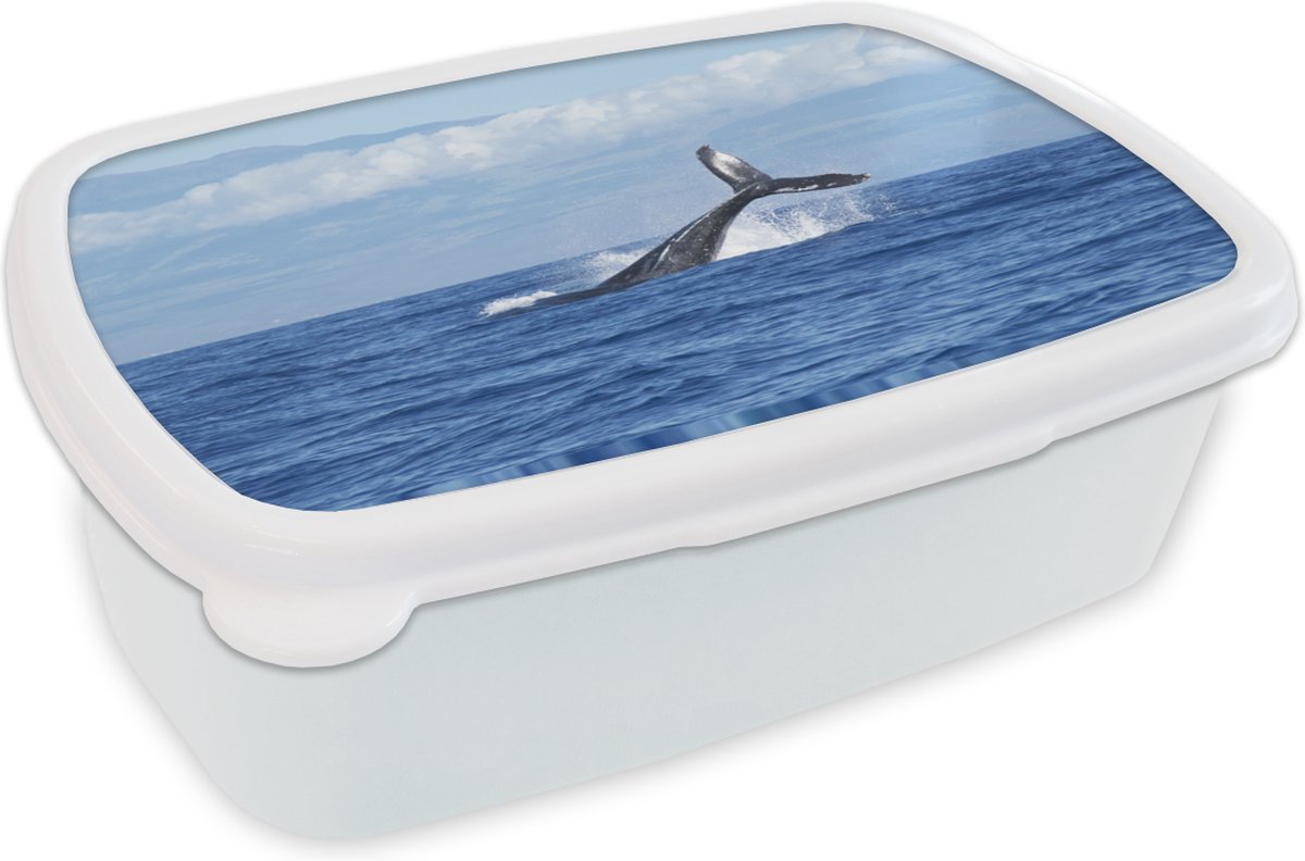 Broodtrommel Wit - Lunchbox - Brooddoos - Walvis - Oceaan - Wolken - 18x12x6 cm - Volwassenen