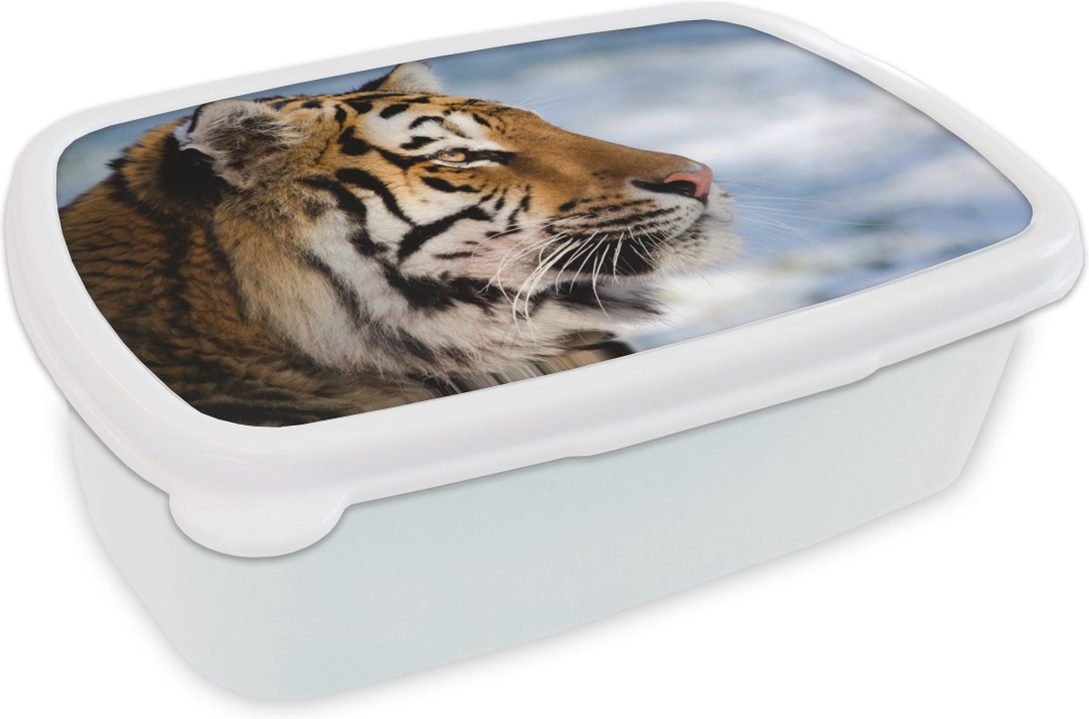 Broodtrommel Wit - Lunchbox - Brooddoos - Tijger - Sneeuw - Natuur - 18x12x6 cm - Volwassenen