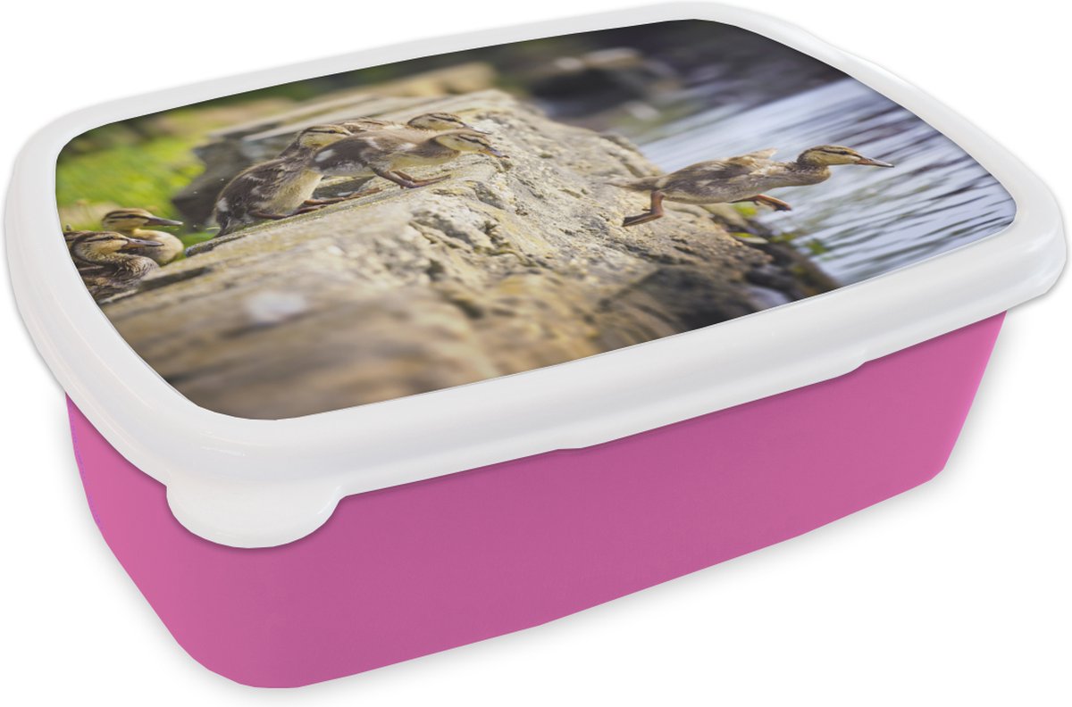 Broodtrommel Roze - Lunchbox - Brooddoos - Eenden - Stenen - Kuiken - 18x12x6 cm - Kinderen - Meisje
