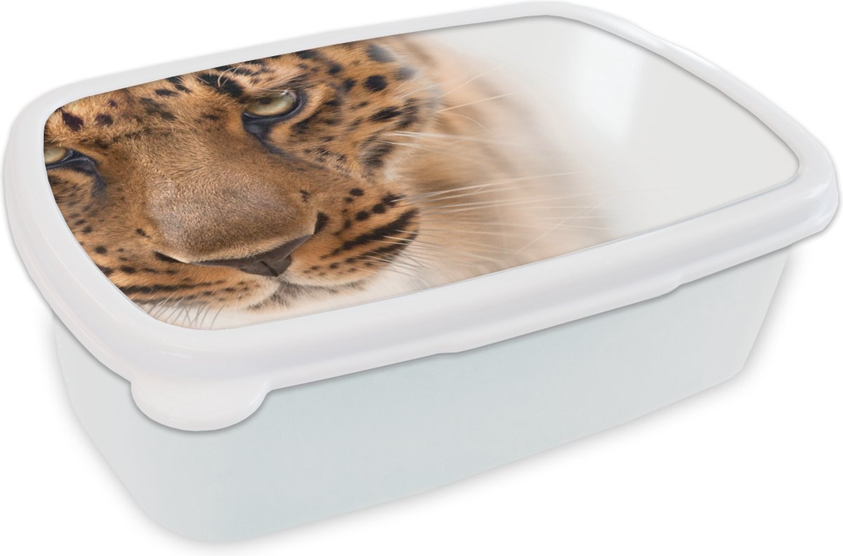 Broodtrommel Wit - Lunchbox - Brooddoos - Luipaard - Vacht - Wit - 18x12x6 cm - Volwassenen