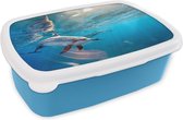Broodtrommel Blauw - Lunchbox - Brooddoos - Dolfijn - Zon - Water - 18x12x6 cm - Kinderen - Jongen