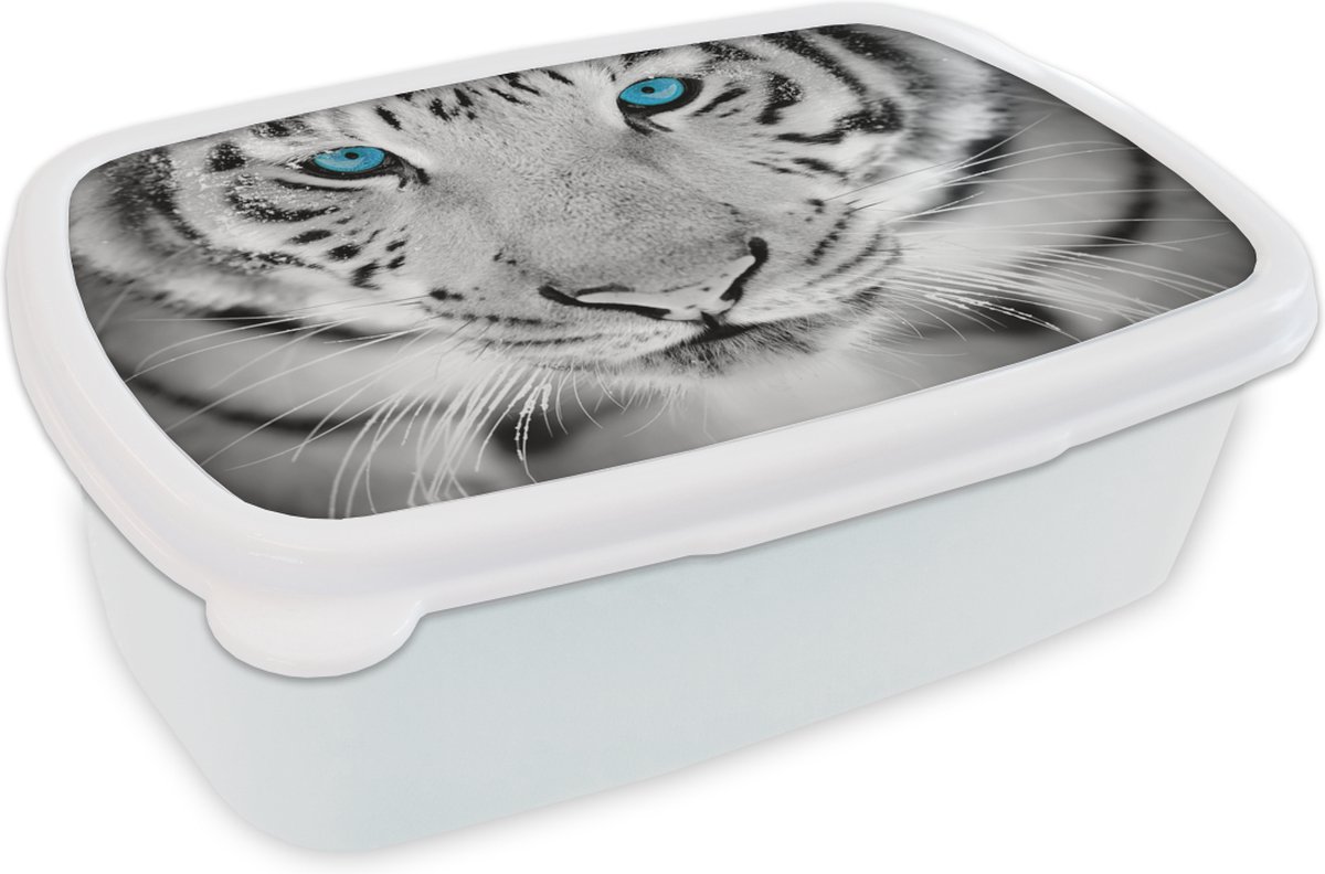 Broodtrommel Wit - Lunchbox - Brooddoos - Tijger - Kop - Neus - 18x12x6 cm - Volwassenen