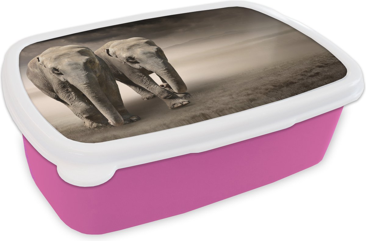 Broodtrommel Roze - Lunchbox - Brooddoos - Olifant - Berg - Mist - 18x12x6 cm - Kinderen - Meisje