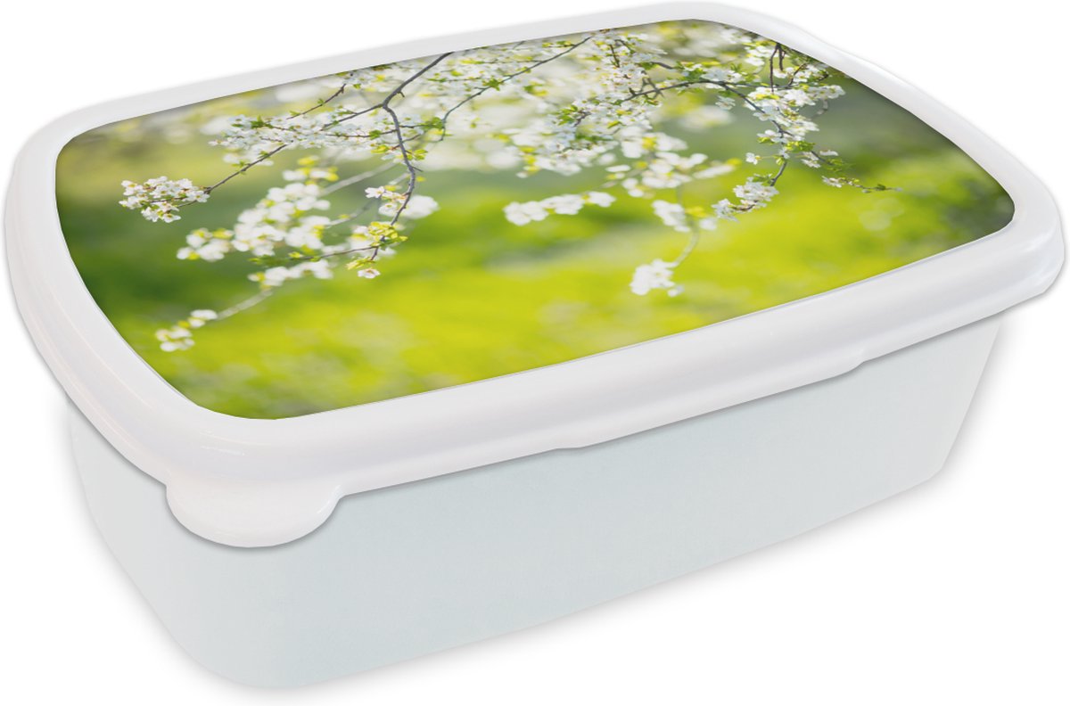 Broodtrommel Wit - Lunchbox - Brooddoos - Bloesem - Lente - Wit - 18x12x6 cm - Volwassenen