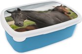 Broodtrommel Blauw - Lunchbox - Brooddoos - Paarden - Weide - Zweden - 18x12x6 cm - Kinderen - Jongen