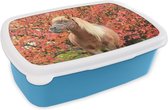 Broodtrommel Blauw - Lunchbox - Brooddoos - Paard - Pony - Herfstbladeren - 18x12x6 cm - Kinderen - Jongen
